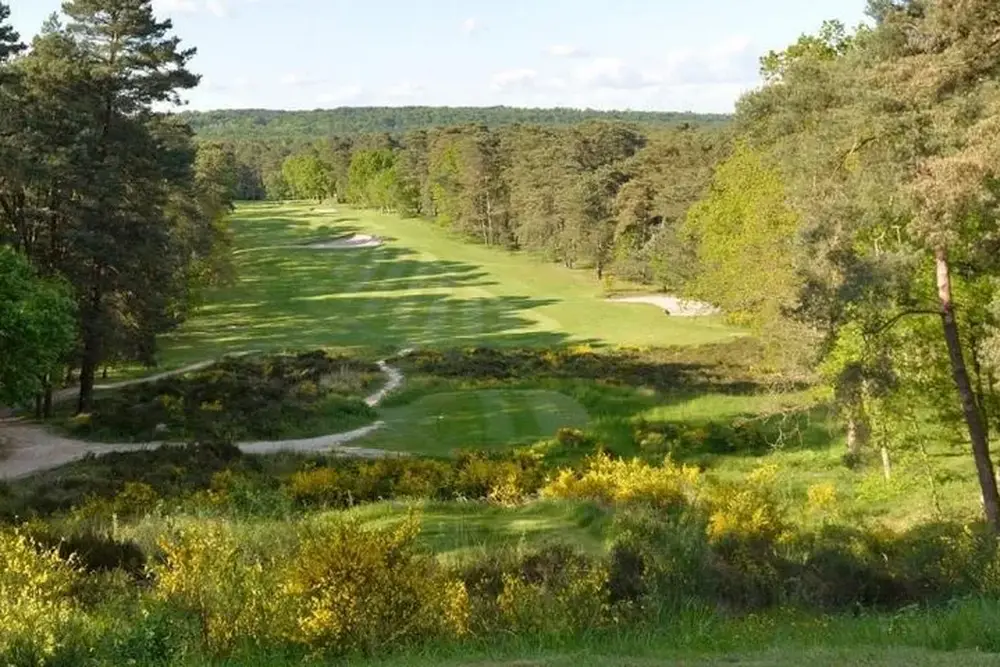 Fairway boisé du Golf de Fontainebleau avec bruyères et genêts — parcours golf Île-de-France Ouest Paris