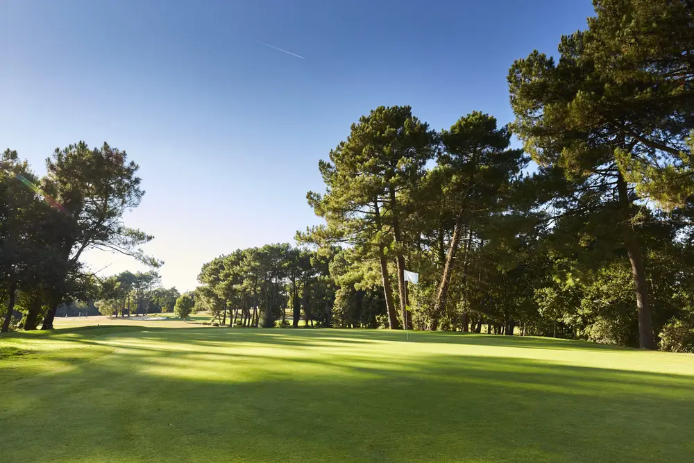 Fairway du Golf Blue Green Saint-Laurent sous les pins – golf Morbihan Bretagne parcours boisé