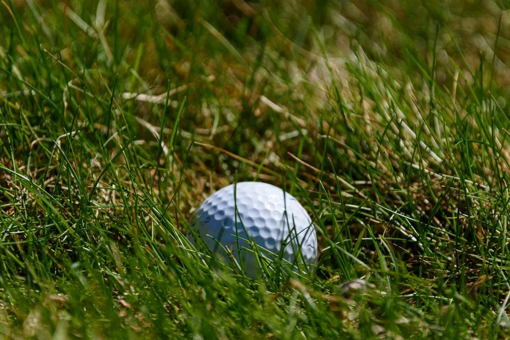 Balle de golf posee dans l'herbe haute