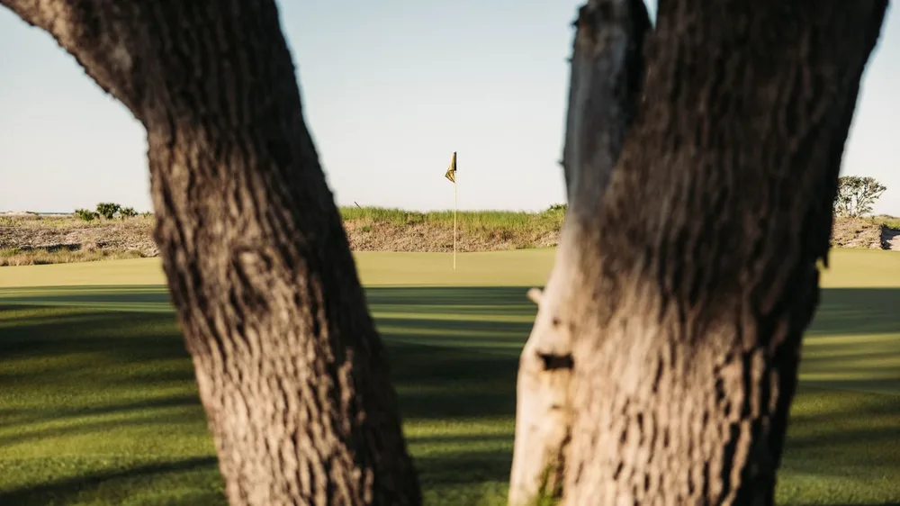 Drapeau sur un green de golf vu entre deux troncs au premier plan.
