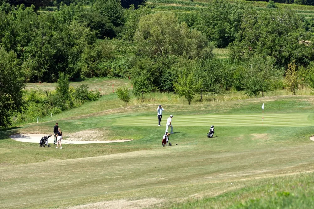 Groupe de golfeurs avec leurs sacs en pleine partie de golf